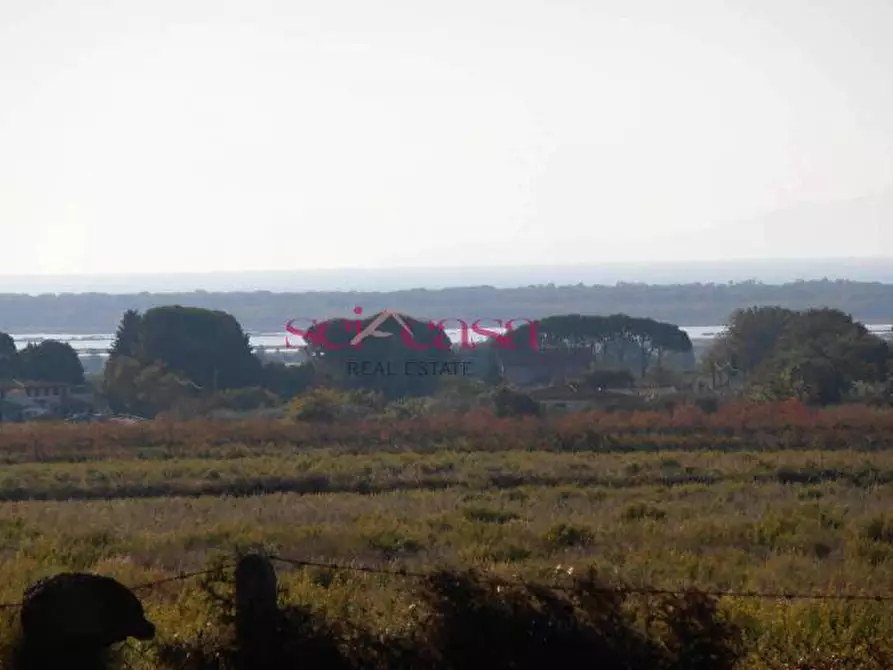 Immagine 3 di Rustico / casale in vendita  a Castiglione Della Pescaia