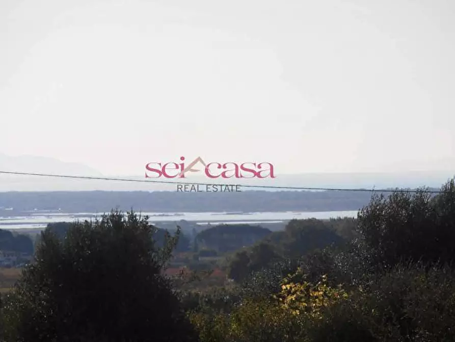 Immagine 4 di Rustico / casale in vendita  a Castiglione Della Pescaia