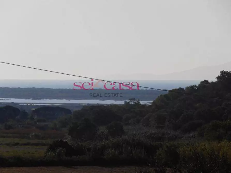 Immagine 12 di Rustico / casale in vendita  a Castiglione Della Pescaia