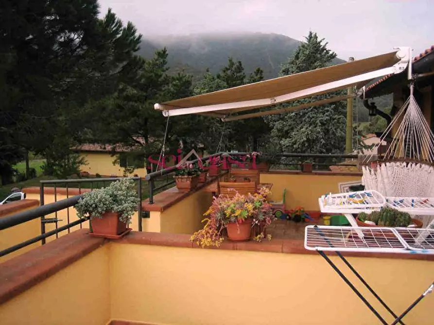 Immagine 14 di Rustico / casale in vendita  a Castiglione Della Pescaia