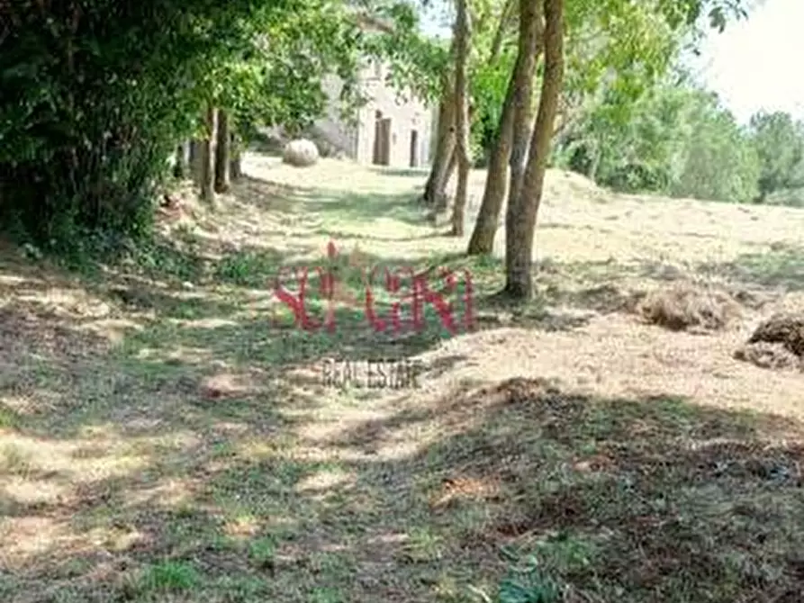 Immagine 2 di Rustico / casale in vendita  a Santa Fiora