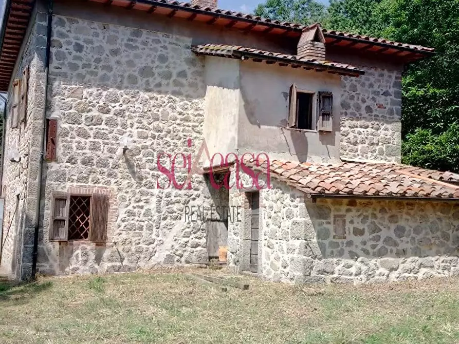Immagine 4 di Rustico / casale in vendita  a Santa Fiora