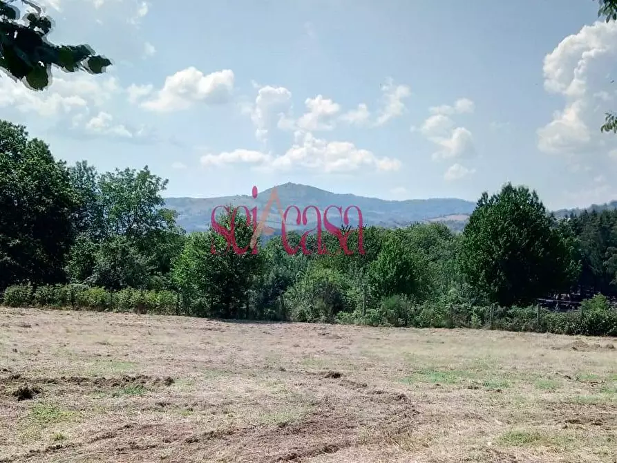 Immagine 5 di Rustico / casale in vendita  a Santa Fiora