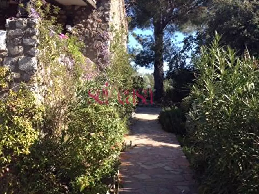Immagine 3 di Villa in vendita  a Orbetello