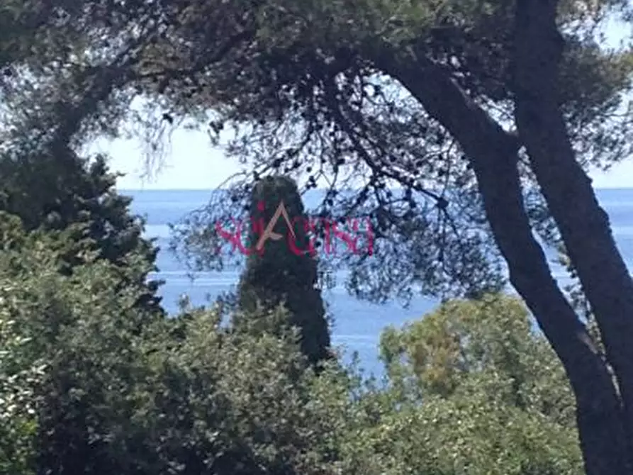 Immagine 4 di Villa in vendita  a Orbetello