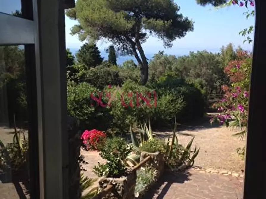 Immagine 5 di Villa in vendita  a Orbetello