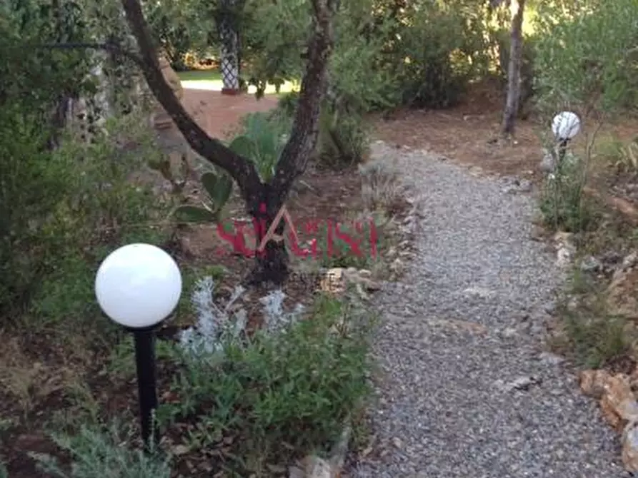 Immagine 7 di Villa in vendita  a Orbetello