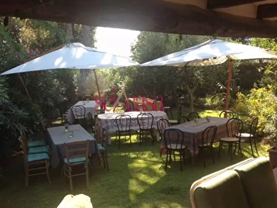 Immagine 8 di Villa in vendita  a Orbetello