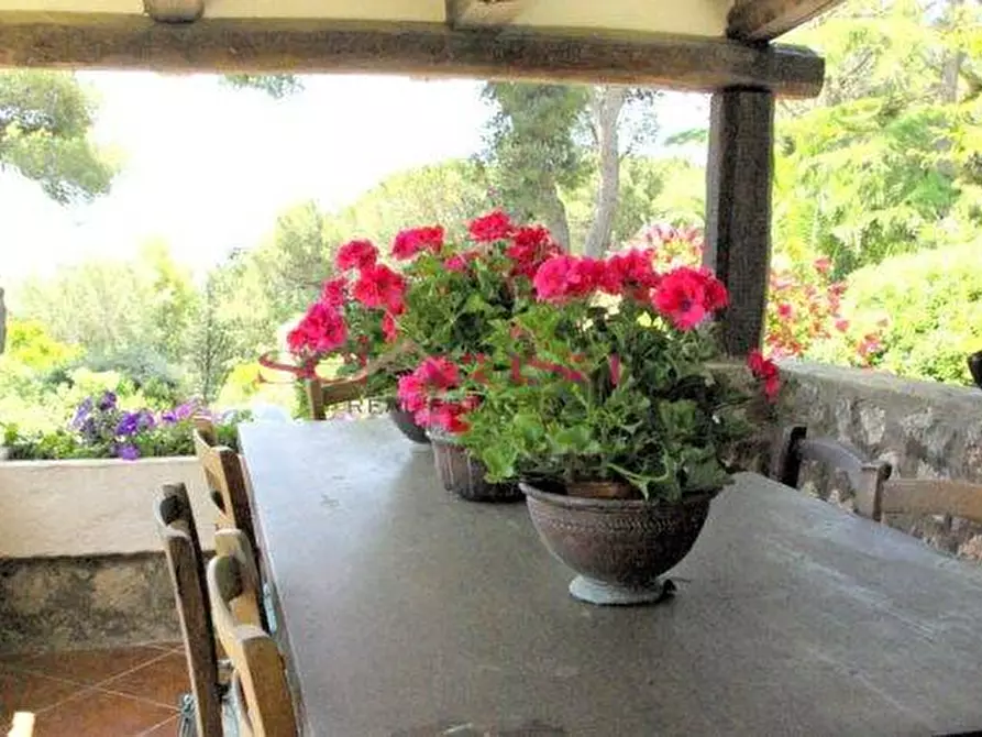 Immagine 19 di Villa in vendita  a Orbetello