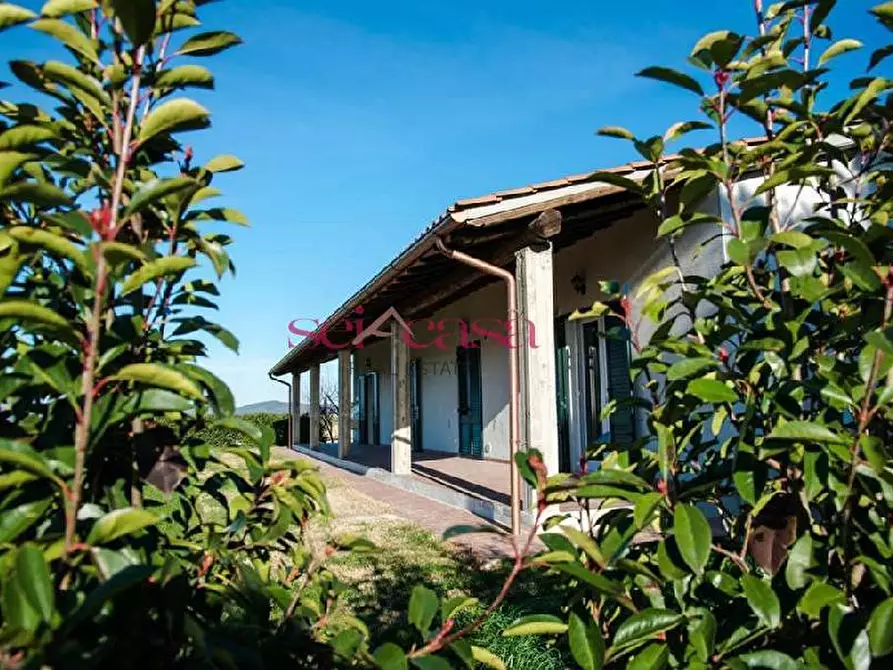 Immagine 1 di Agriturismo in vendita  a Grosseto