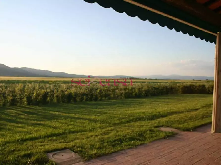 Immagine 2 di Agriturismo in vendita  a Grosseto