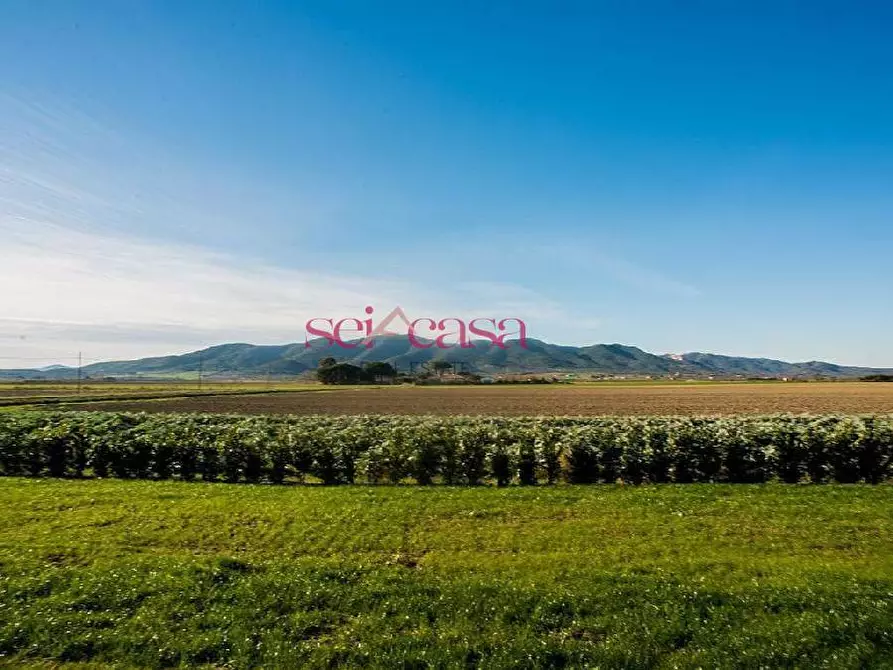 Immagine 3 di Agriturismo in vendita  a Grosseto