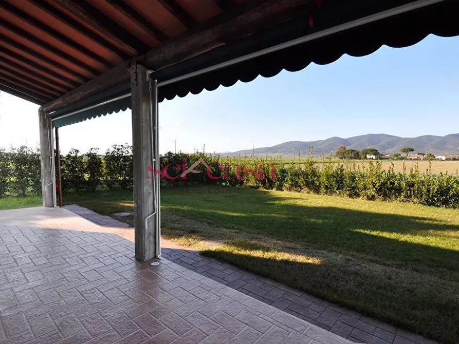 Immagine 7 di Agriturismo in vendita  a Grosseto
