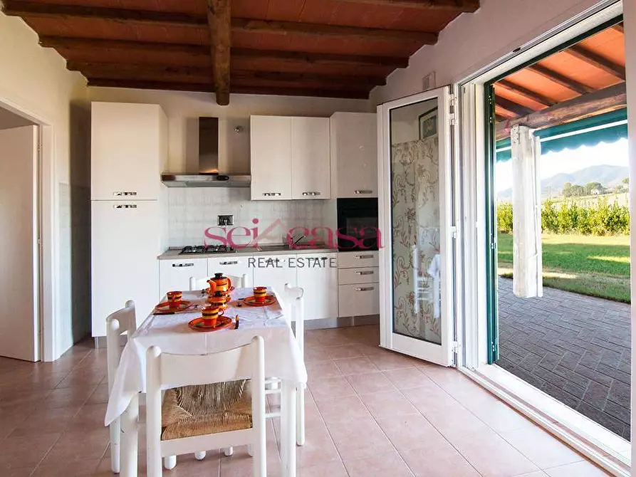 Immagine 6 di Agriturismo in vendita  a Grosseto