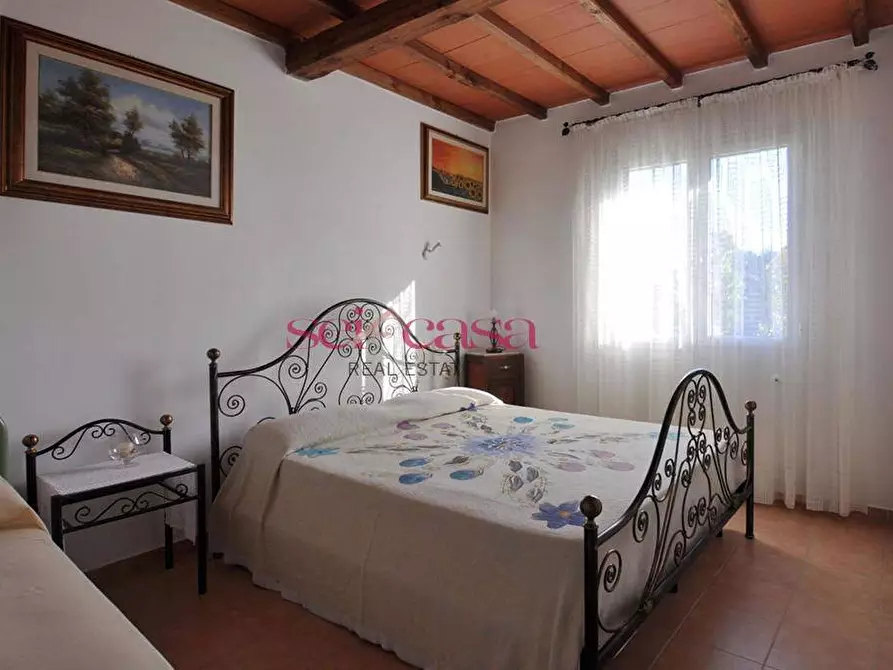 Immagine 11 di Agriturismo in vendita  a Grosseto