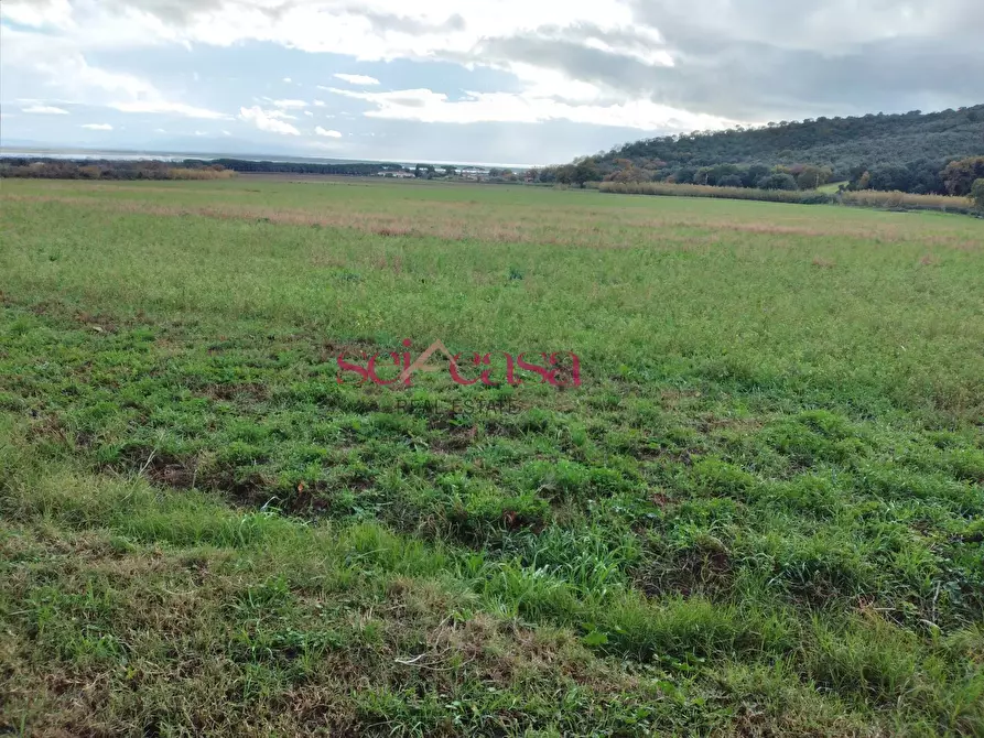 Immagine 5 di Rustico / casale in vendita  a Castiglione Della Pescaia
