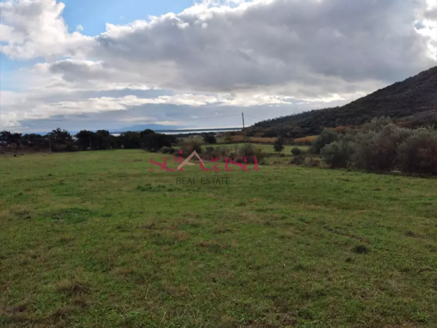 Immagine 11 di Rustico / casale in vendita  a Castiglione Della Pescaia