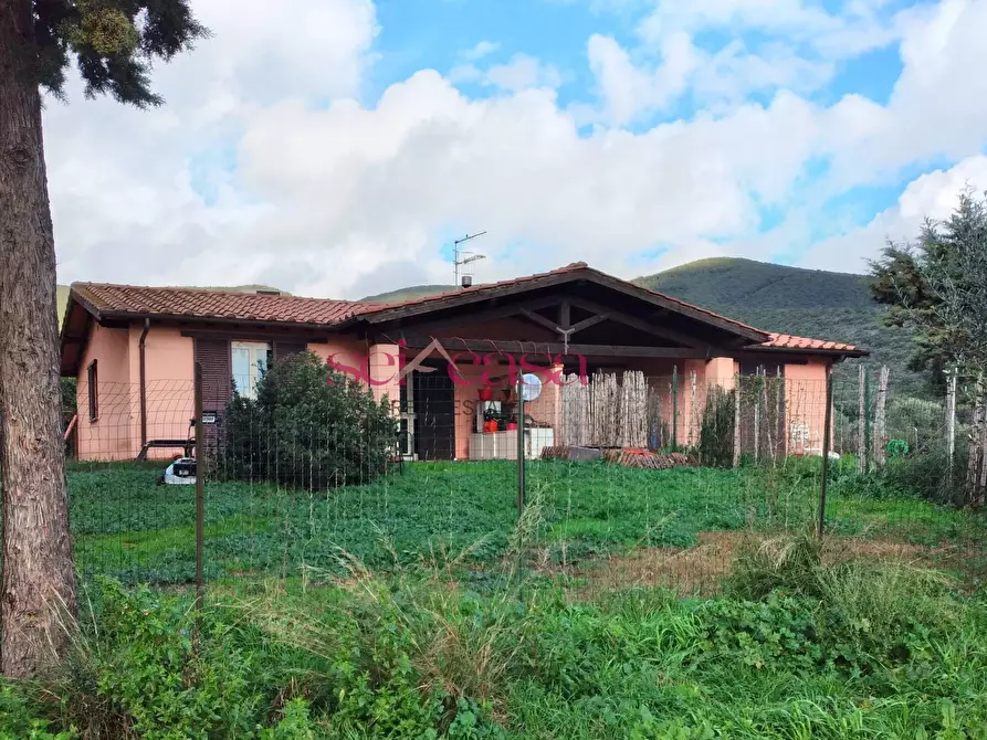 Immagine 19 di Rustico / casale in vendita  a Castiglione Della Pescaia