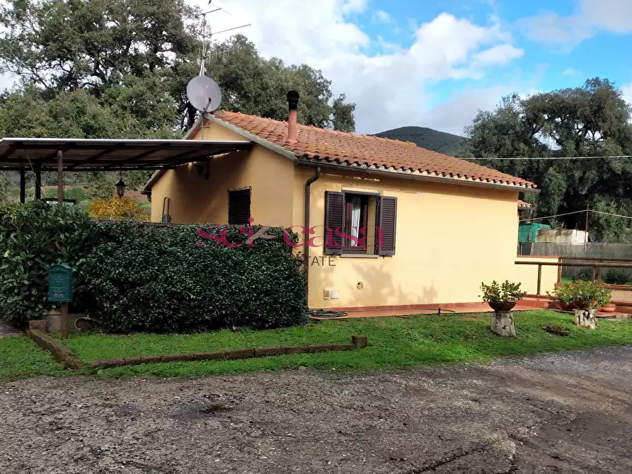 Immagine 20 di Rustico / casale in vendita  a Castiglione Della Pescaia