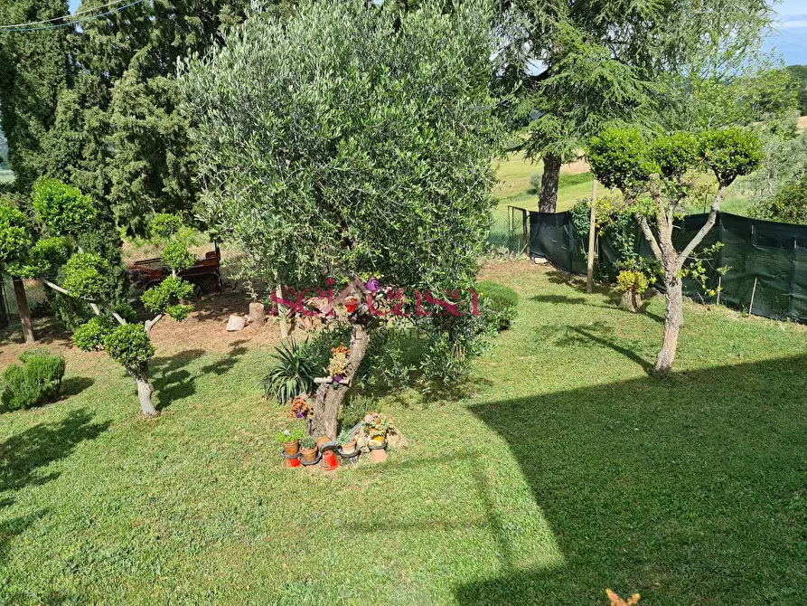 Immagine 18 di Rustico / casale in vendita  a Cinigiano