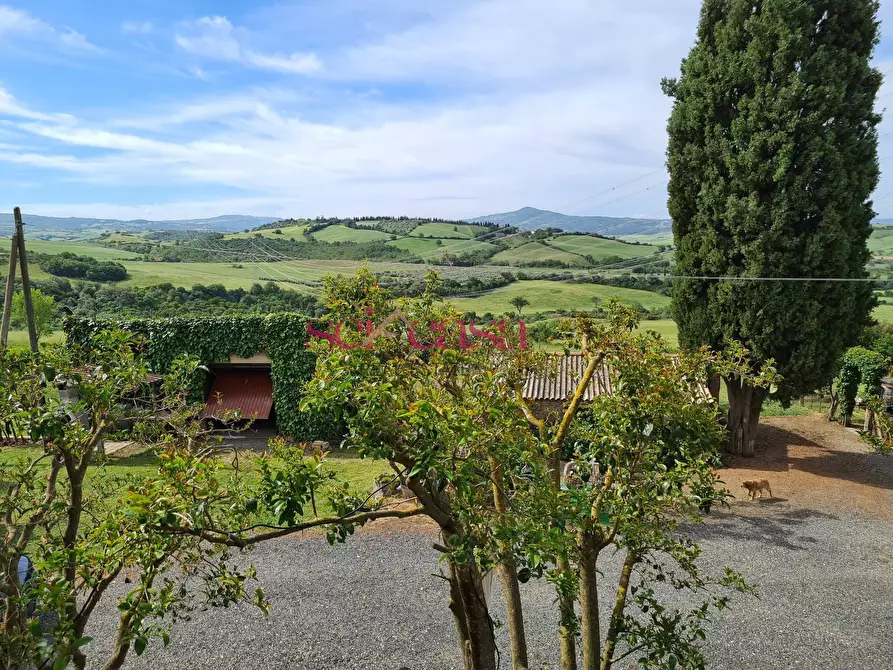 Immagine 19 di Rustico / casale in vendita  a Cinigiano
