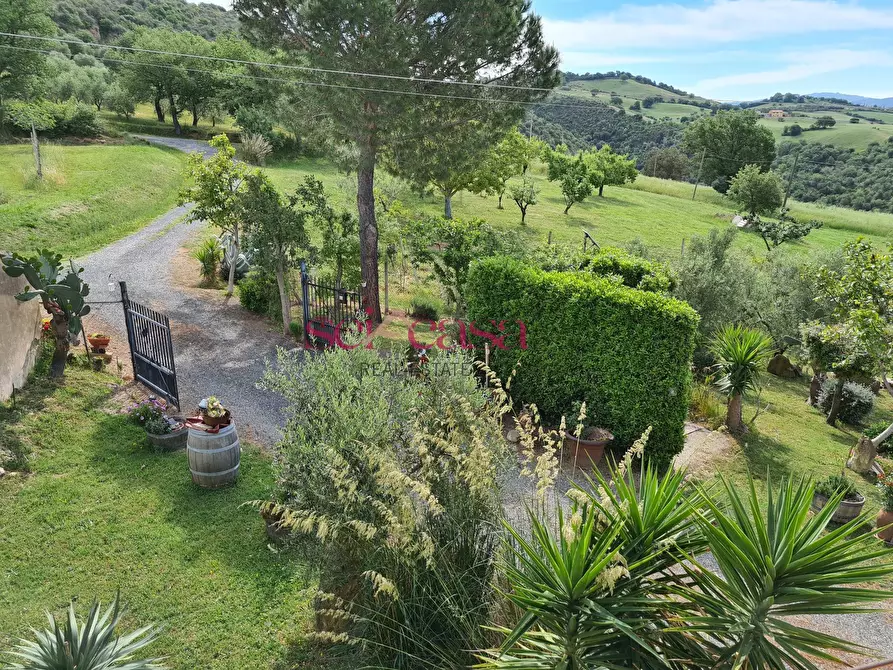 Immagine 21 di Rustico / casale in vendita  a Cinigiano