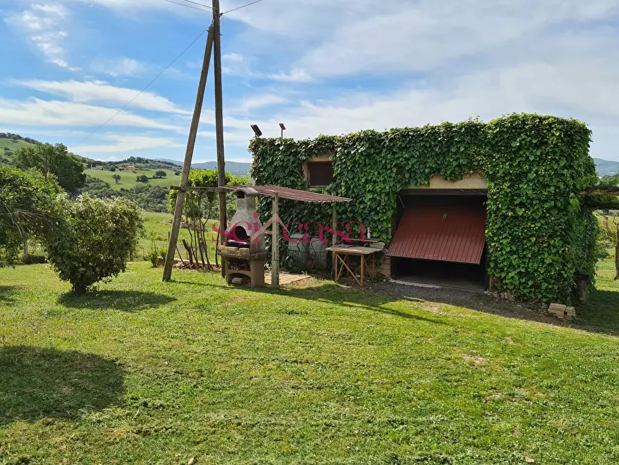 Immagine 24 di Rustico / casale in vendita  a Cinigiano
