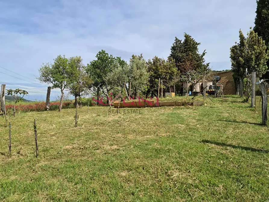 Immagine 26 di Rustico / casale in vendita  a Cinigiano