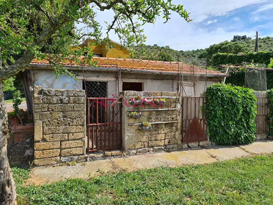 Immagine 27 di Rustico / casale in vendita  a Cinigiano