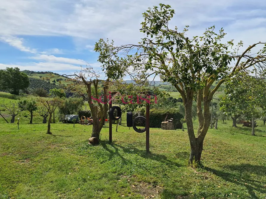 Immagine 28 di Rustico / casale in vendita  a Cinigiano