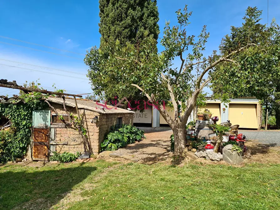 Immagine 29 di Rustico / casale in vendita  a Cinigiano