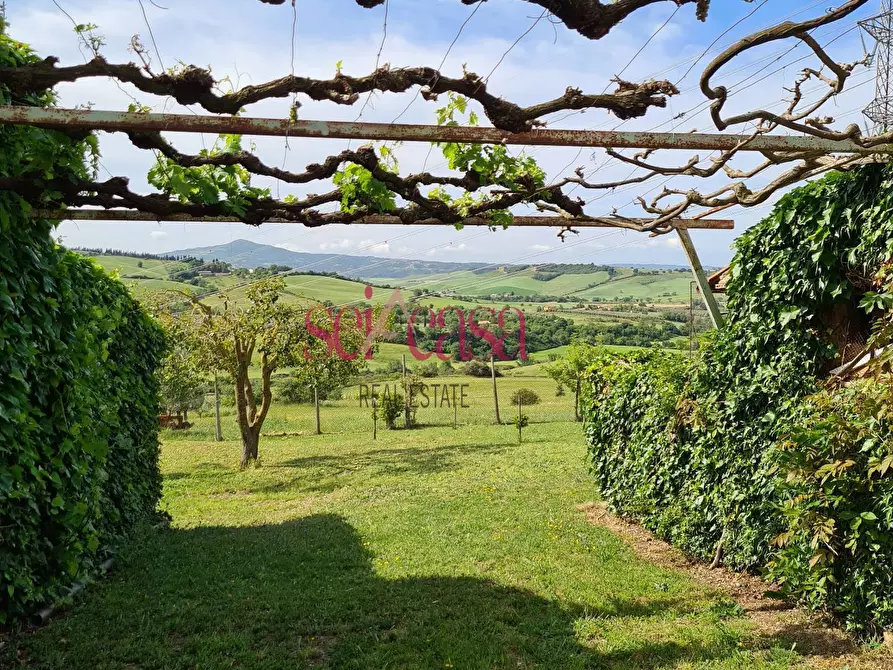 Immagine 30 di Rustico / casale in vendita  a Cinigiano