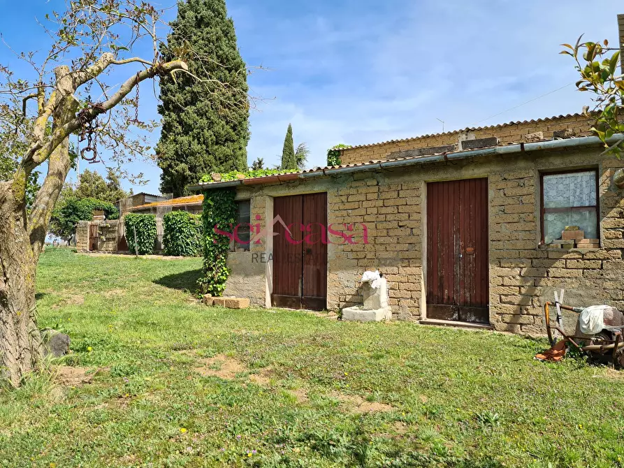 Immagine 31 di Rustico / casale in vendita  a Cinigiano