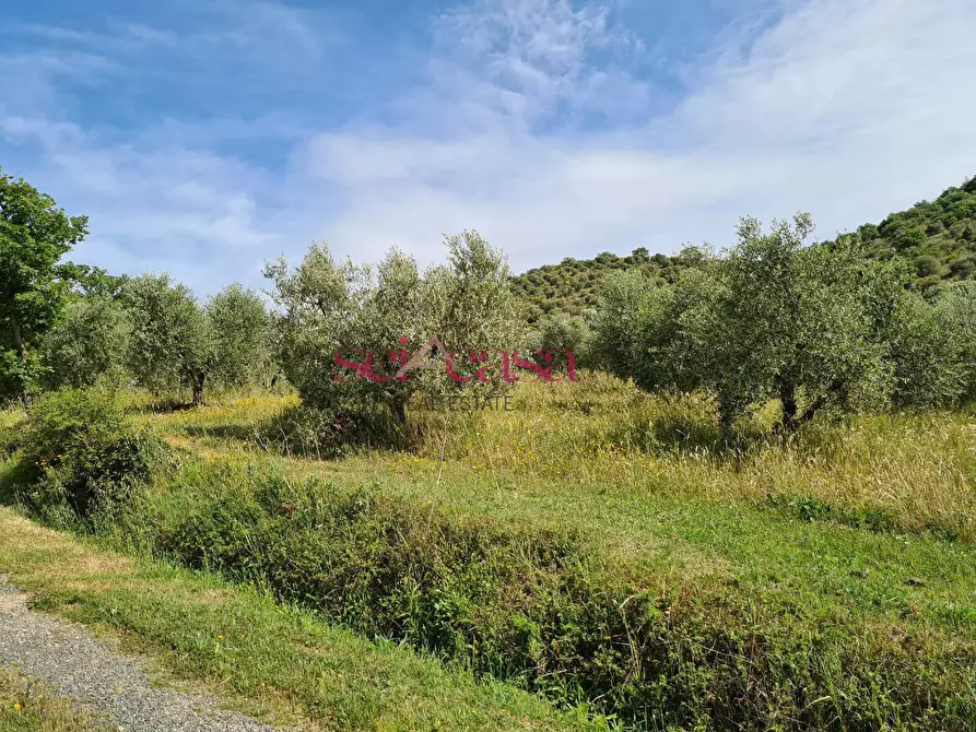 Immagine 34 di Rustico / casale in vendita  a Cinigiano