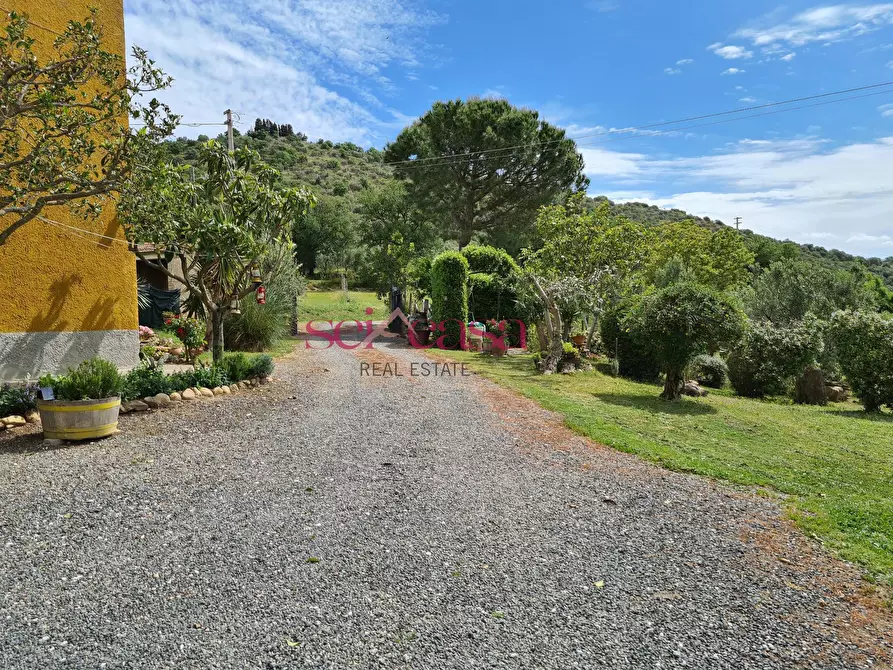 Immagine 23 di Rustico / casale in vendita  a Cinigiano