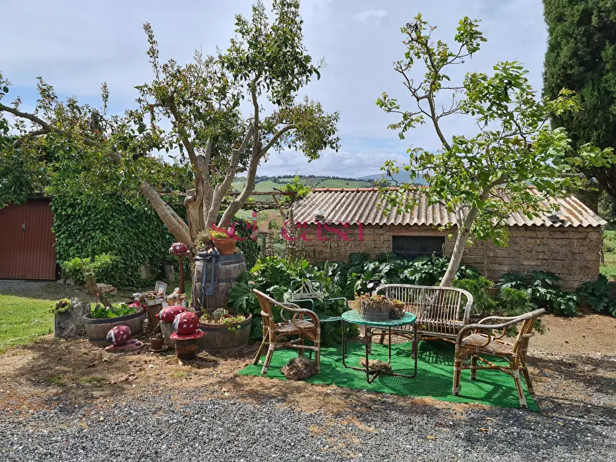 Immagine 20 di Rustico / casale in vendita  a Cinigiano