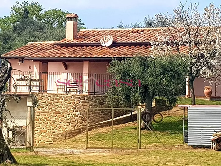Immagine 2 di Rustico / casale in vendita  a Magliano In Toscana