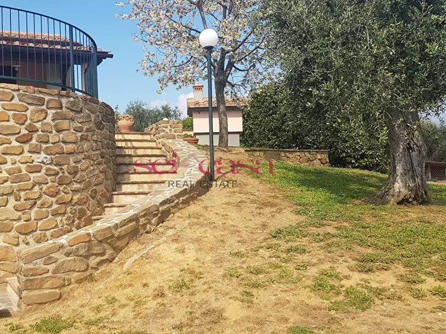 Immagine 3 di Rustico / casale in vendita  a Magliano In Toscana