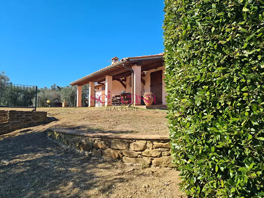 Immagine 6 di Rustico / casale in vendita  a Magliano In Toscana