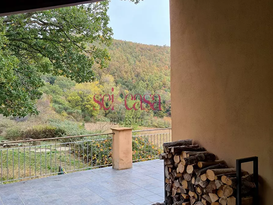 Immagine 3 di Rustico / casale in vendita  a Arcidosso