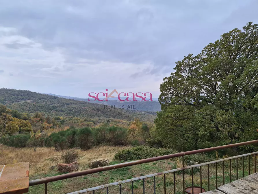 Immagine 22 di Rustico / casale in vendita  a Arcidosso