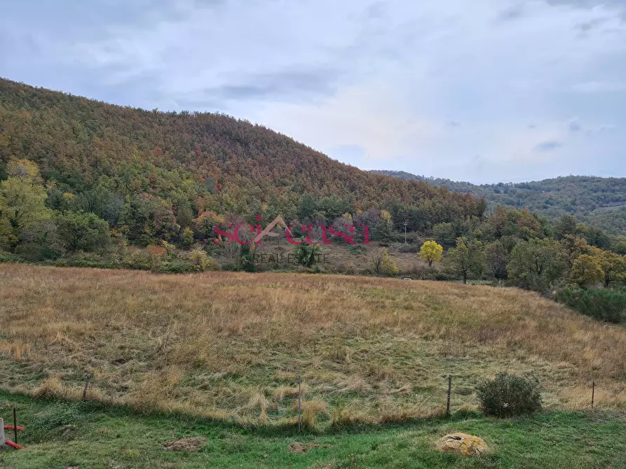 Immagine 24 di Rustico / casale in vendita  a Arcidosso