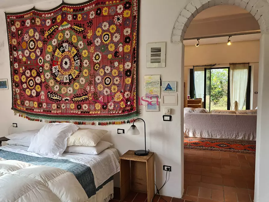 Immagine 15 di Rustico / casale in vendita  a Arcidosso