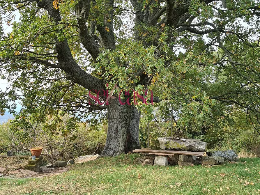Immagine 23 di Rustico / casale in vendita  a Arcidosso