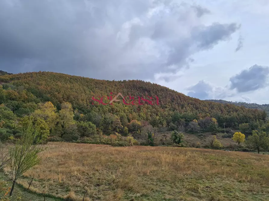 Immagine 25 di Rustico / casale in vendita  a Arcidosso