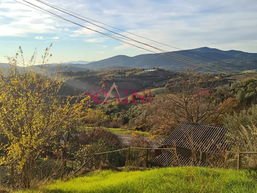 Immagine 16 di Appartamento in vendita  a Campagnatico