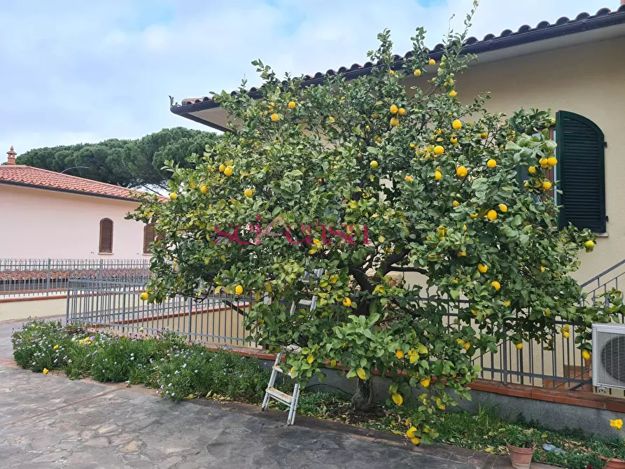 Immagine 31 di Villa in vendita  a Grosseto