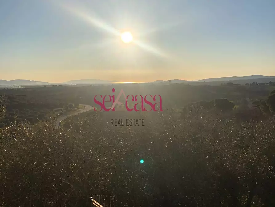 Immagine 7 di Appartamento in vendita  a Magliano In Toscana