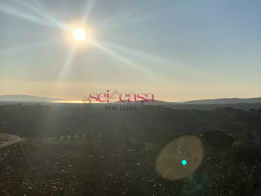 Immagine 8 di Appartamento in vendita  a Magliano In Toscana