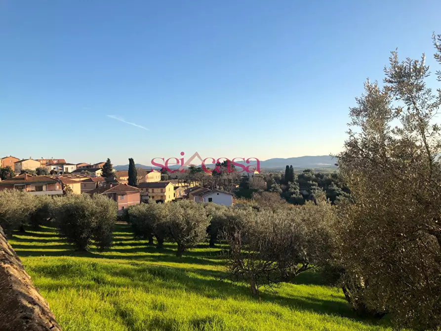 Immagine 10 di Appartamento in vendita  a Magliano In Toscana